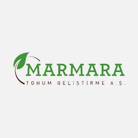Marmara Tohum Geliştirme